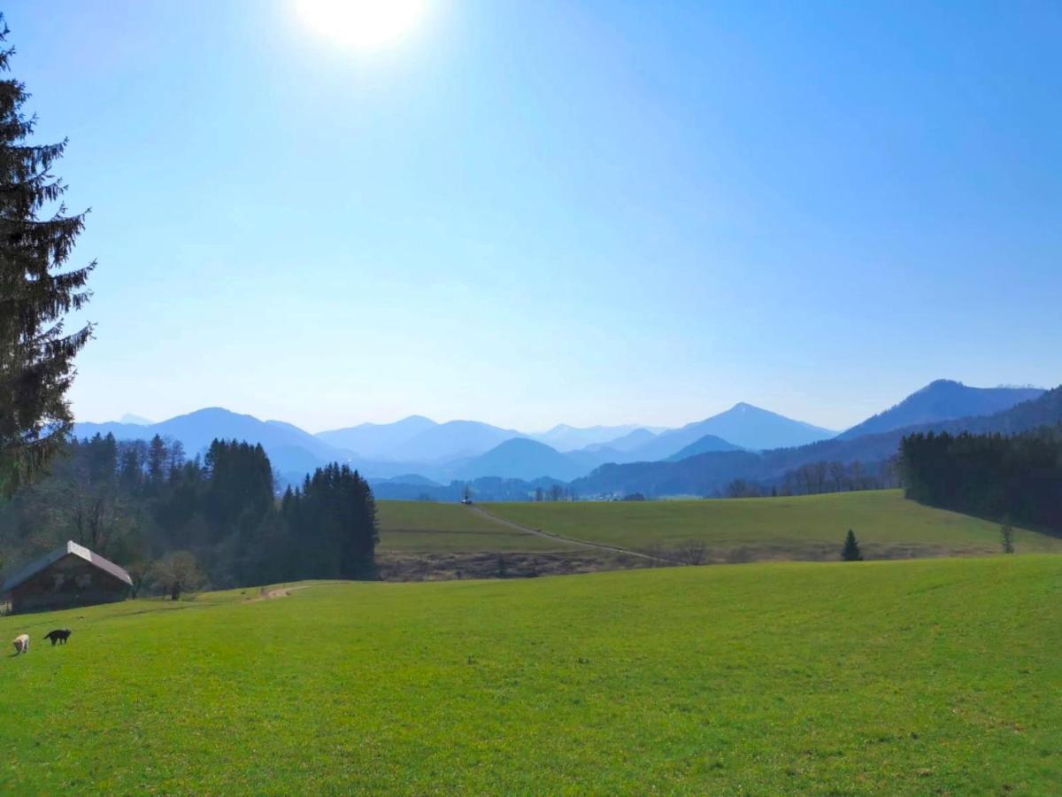 Chalet Stodingerhuette *